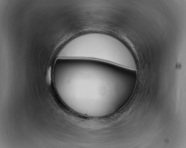 X0000100860020200806200849