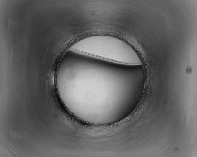 X0000100860021200806200849