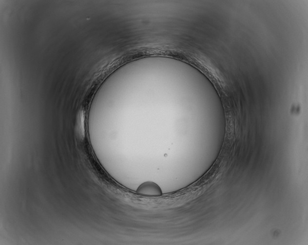 X0000100860022200806200849