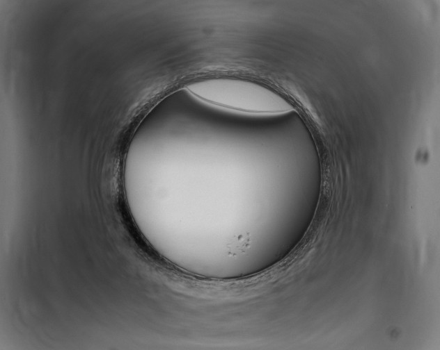 X0000100860023200806200849