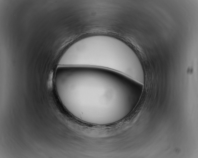 X0000100860024200806200849