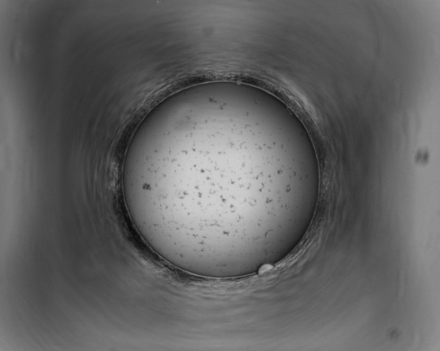 X0000100860025200806200849