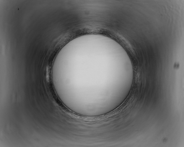 X0000100860026200806200849