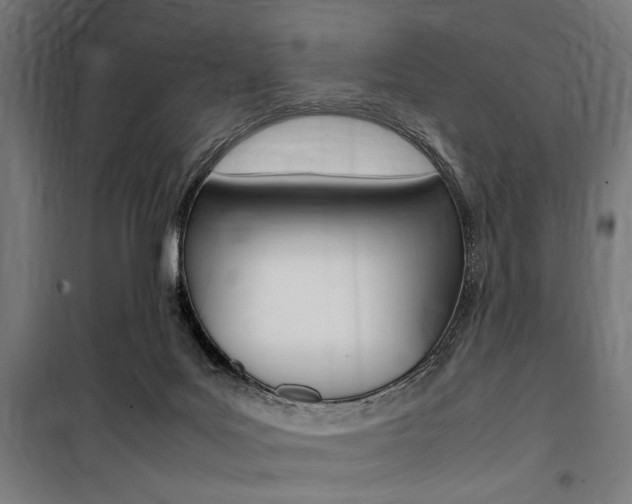 X0000100860027200806200849