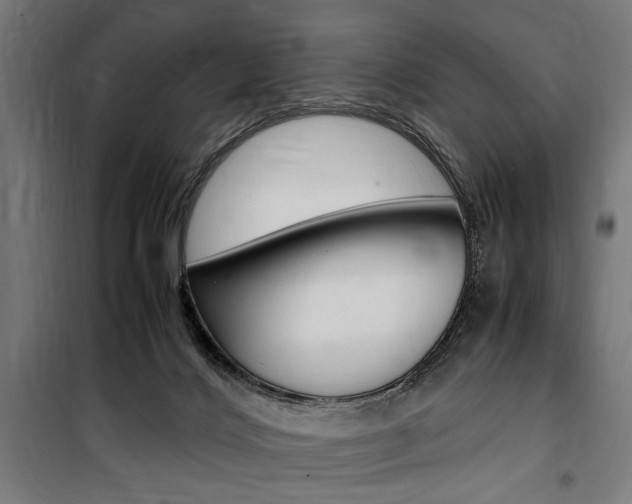 X0000100860028200806200849