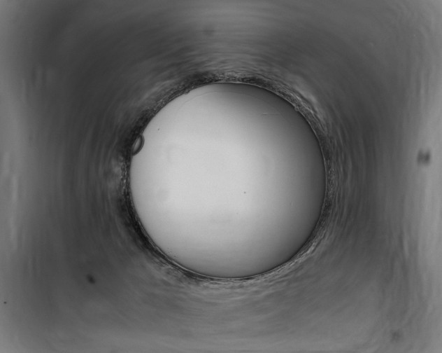 X0000100860029200806200849