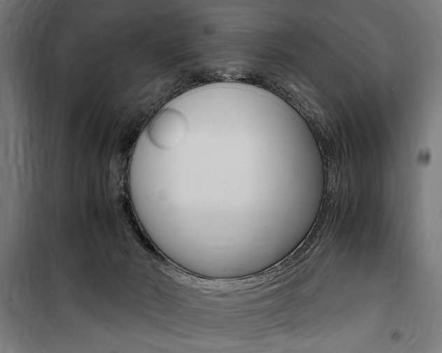 X0000100860030200806200849