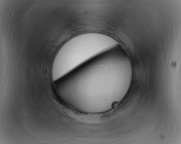 X0000100860032200806200849