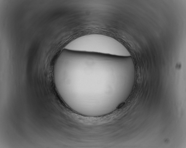 X0000100860034200806200849