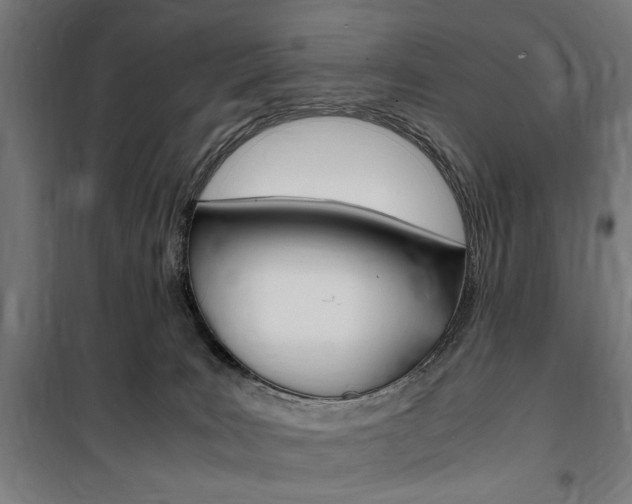 X0000100860035200806200849