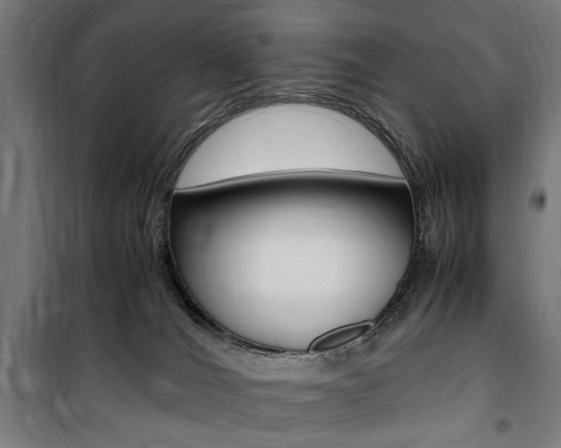 X0000100860036200806200849