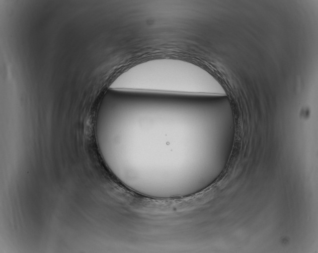 X0000100860037200806200849