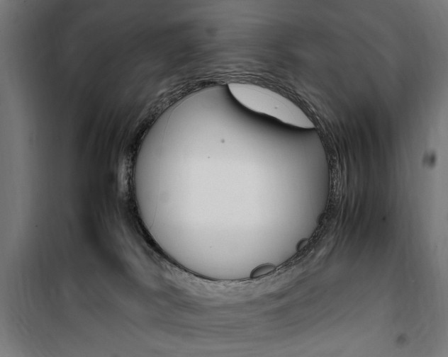 X0000100860038200806200849