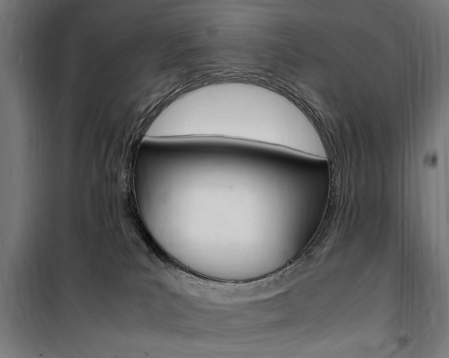 X0000100860039200806200849