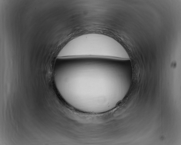 X0000100860040200806200849