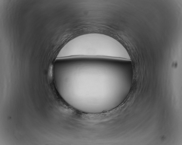 X0000100860041200806200849