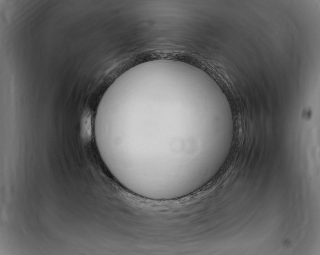 X0000100860042200806200848