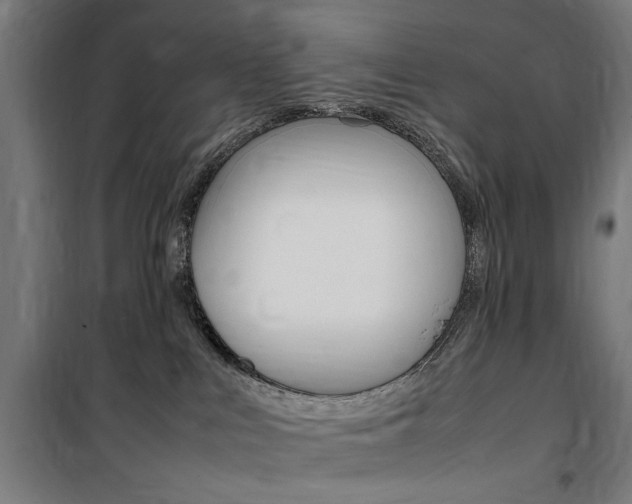 X0000100860043200806200848