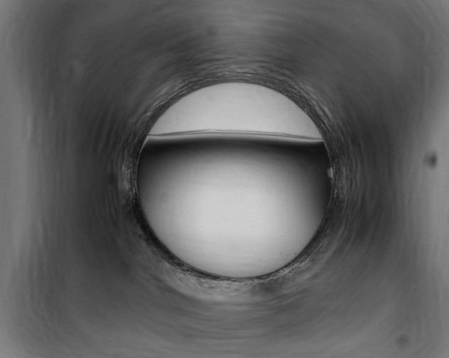 X0000100860044200806200848