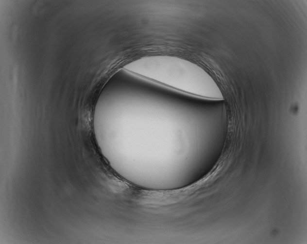 X0000100860045200806200848