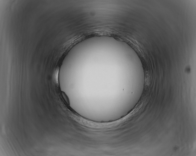 X0000100860047200806200848