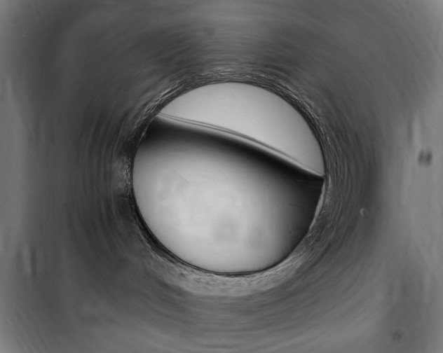 X0000100860048200806200848