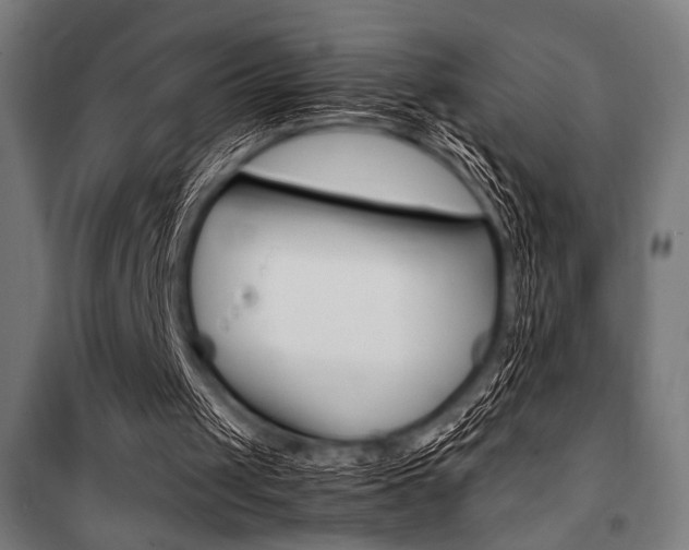 X0000100860049200806200848