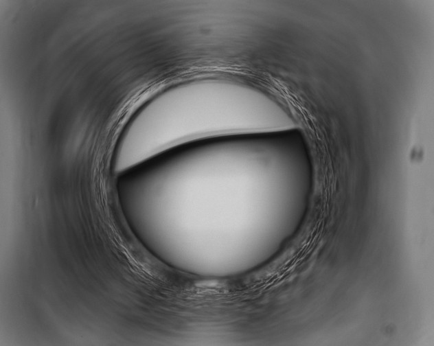 X0000100860050200806200848