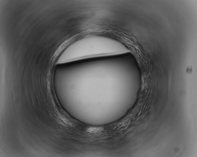 X0000100860051200806200848