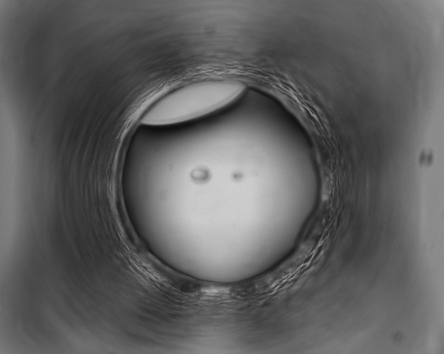 X0000100860052200806200848