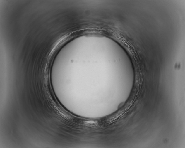 X0000100860053200806200848