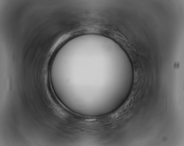 X0000100860054200806200848