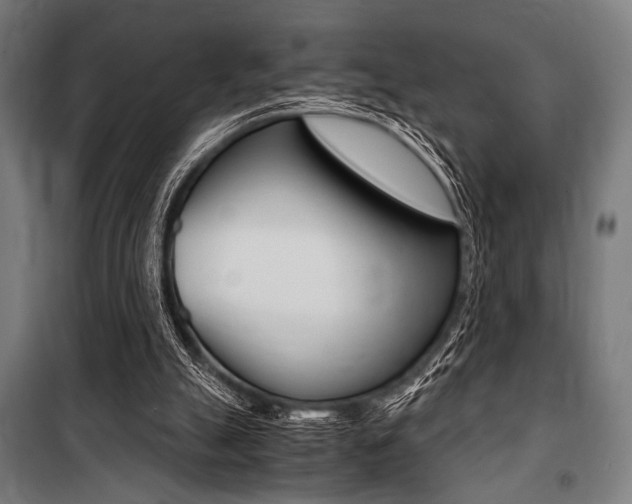 X0000100860055200806200848