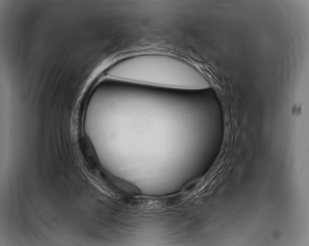 X0000100860056200806200848