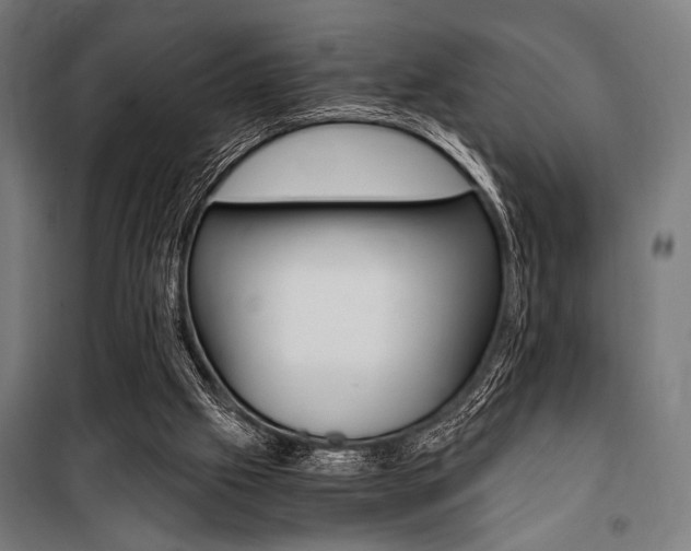 X0000100860057200806200848