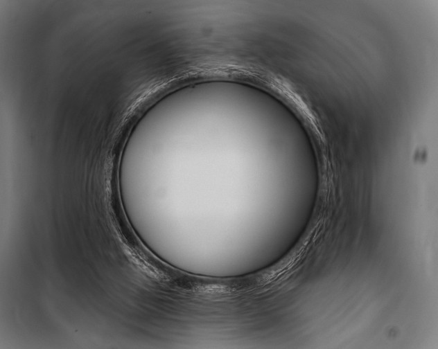 X0000100860058200806200848