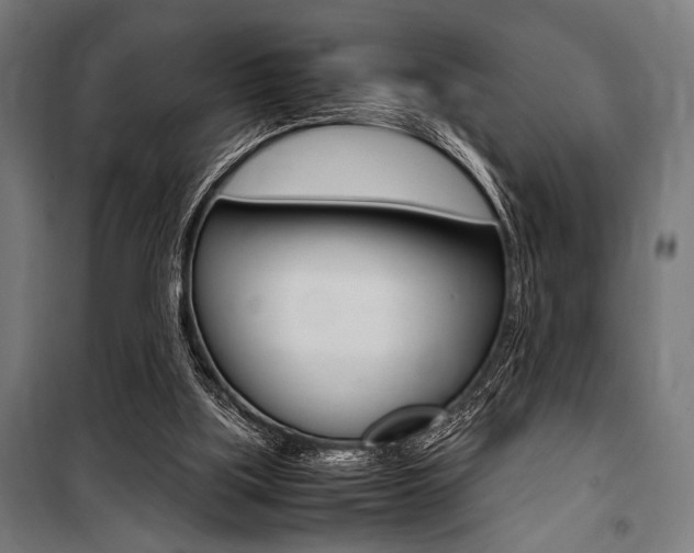 X0000100860059200806200848