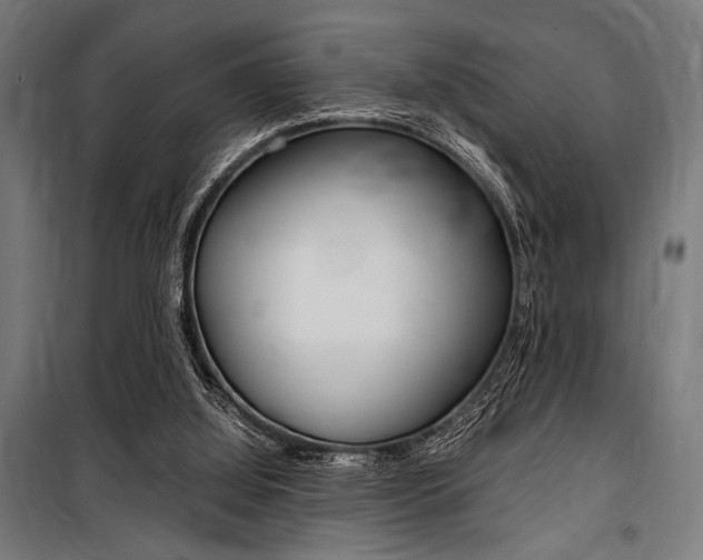 X0000100860060200806200848