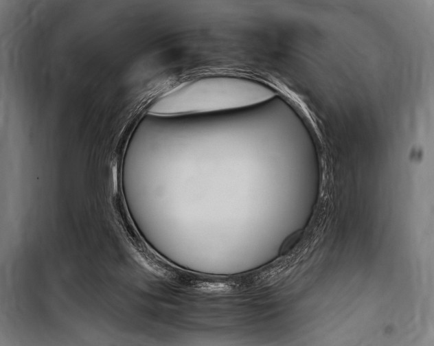 X0000100860061200806200848