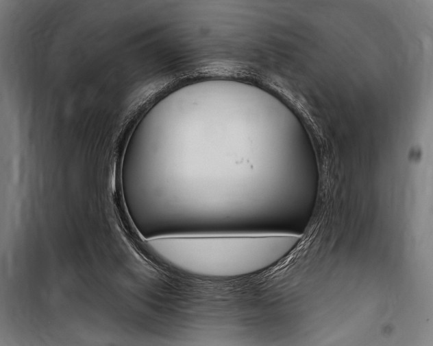 X0000100860062200806200848