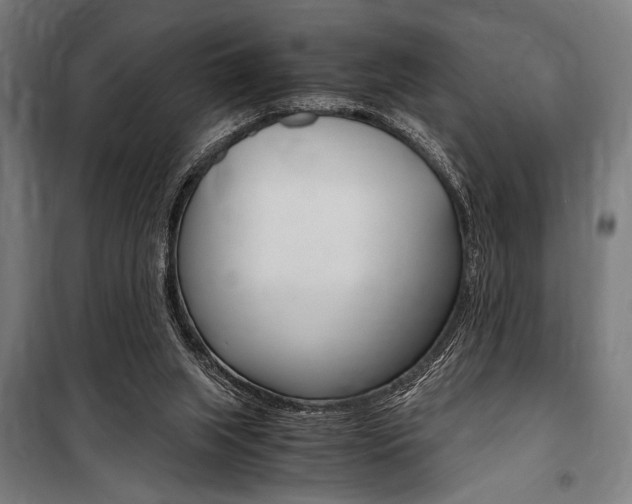 X0000100860063200806200848