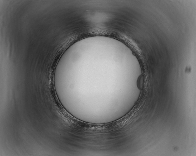 X0000100860065200806200848