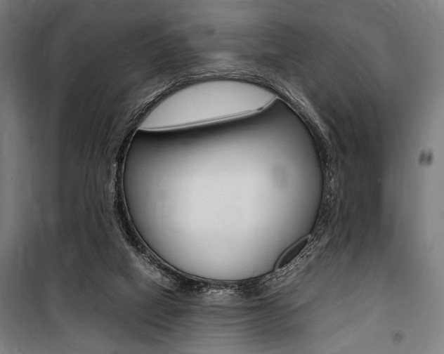 X0000100860066200806200848