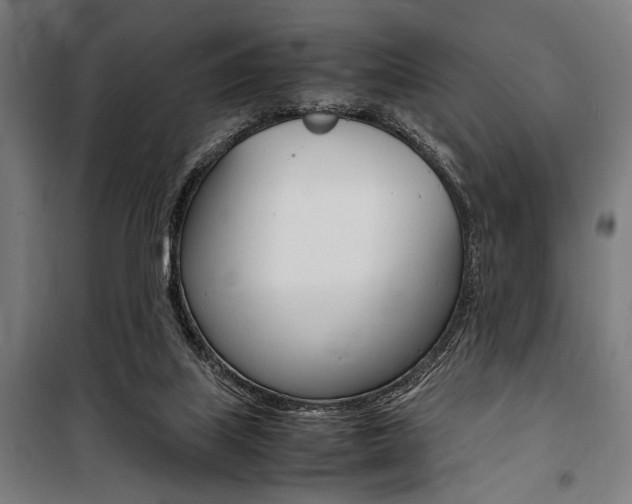 X0000100860067200806200848