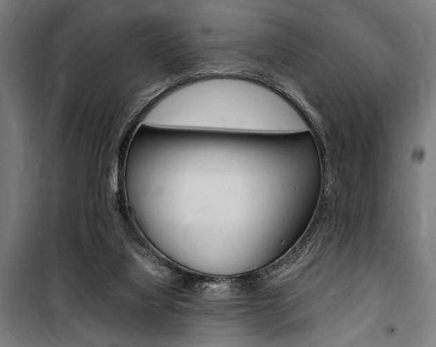 X0000100860068200806200848