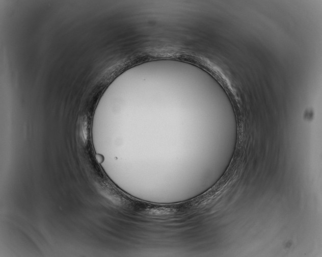 X0000100860069200806200848