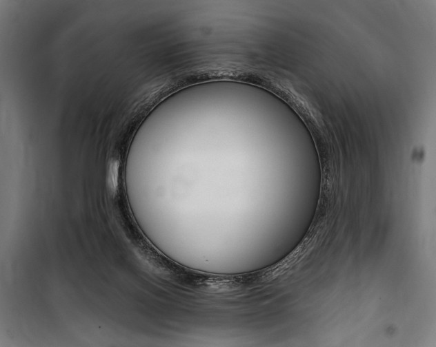 X0000100860070200806200848