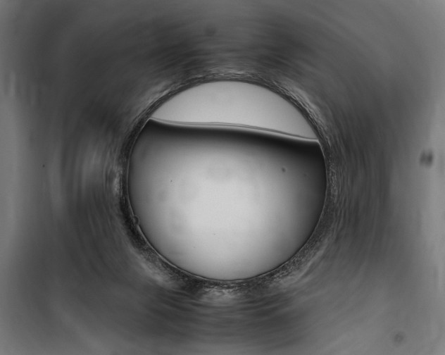 X0000100860071200806200848