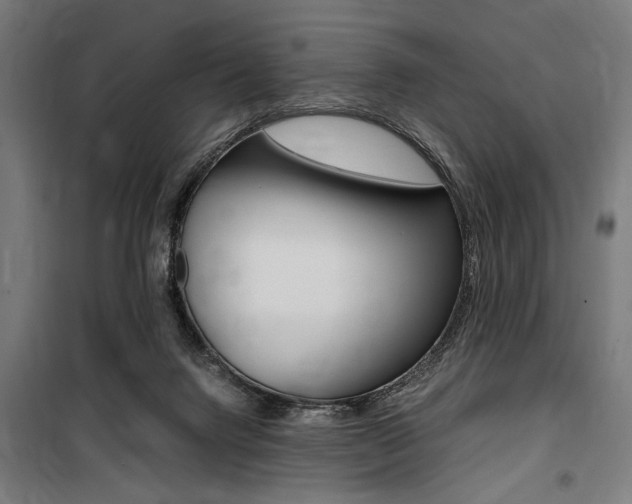 X0000100860072200806200848