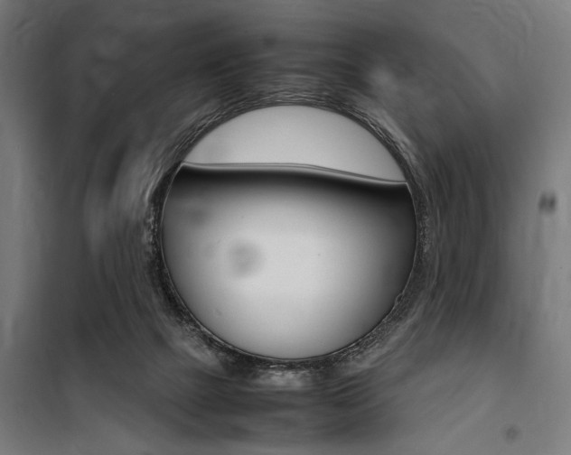 X0000100860073200806200848